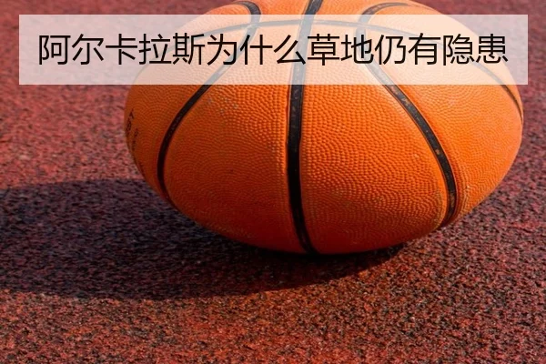 img_1781167642040_85_1_822.jpg
