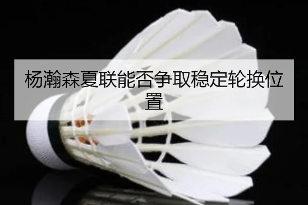 杨瀚森夏联能否争取稳定轮换位置