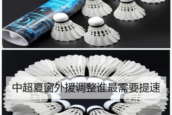 中超夏窗外援调整谁最需要提速